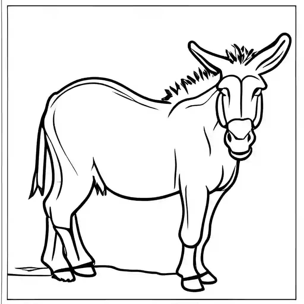 Farm Animals_Donkeys_6378_.webp